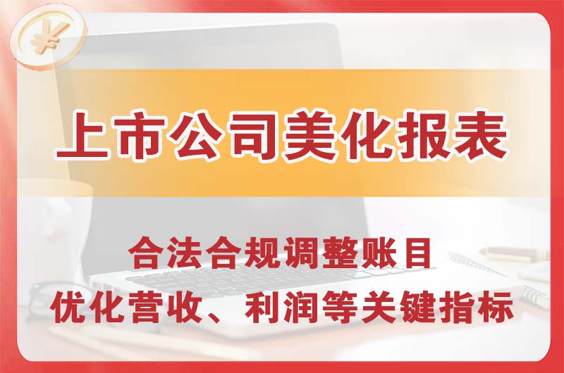 云梦上市公司美化报表
